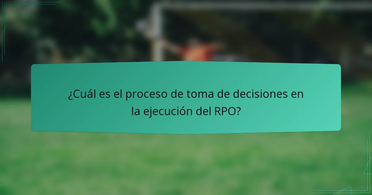 ¿Cuál es el proceso de toma de decisiones en la ejecución del RPO?
